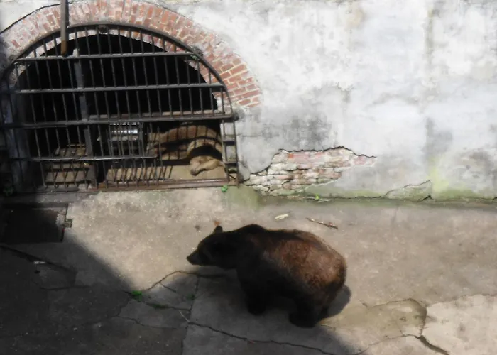 Gasthuis Podhradi Český Krumlov